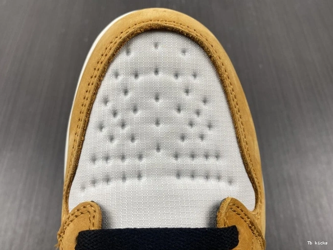 Reps TBK 1 Jordan High Element Light DB2889-700 Curry Gore-Tex 0806